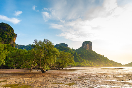 Morning sunrise at the pier Railay Bay, railay Beach railay Amphur Muang, Krabi Thailand is located in the zone of the National Park, the Nopparat Thara Beach,1 apr 2018の写真素材