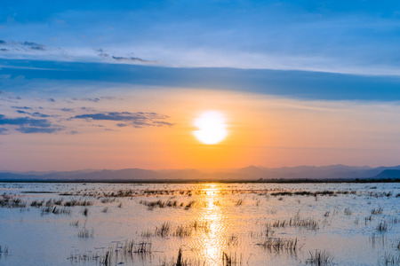 Sunset on the lake.の写真素材