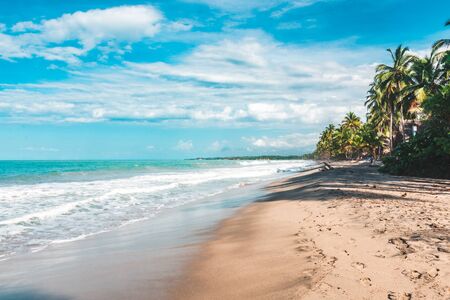 a caribbean beach with palmtrees in Colombiaの写真素材
