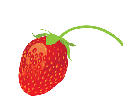 strawberryのイラスト素材