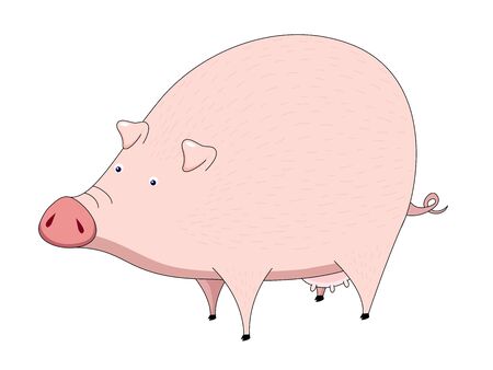 Pig vectorのイラスト素材