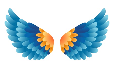  wings