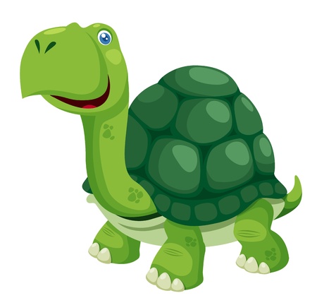 illustration of isolated turtle on whiteのイラスト素材