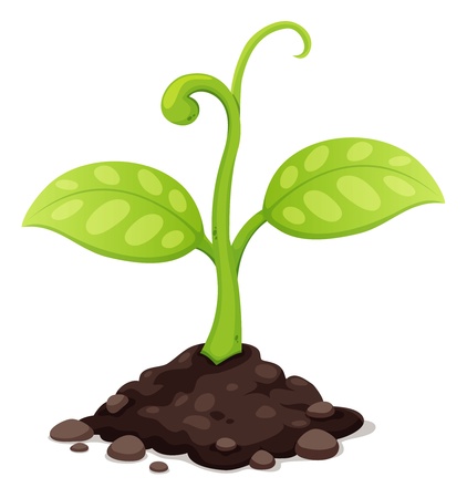 illustration of New born plant growingのイラスト素材