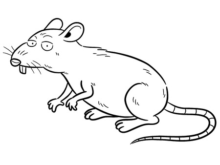 Vector illustration of cartoon Rat - Coloring bookのイラスト素材