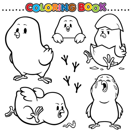 Cartoon Coloring Book - Chickのイラスト素材