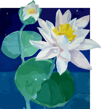 Blossoming lilies in a pond. Illustrationのイラスト素材