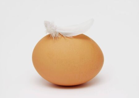 Egg with feather isolated on white backgroundの写真素材