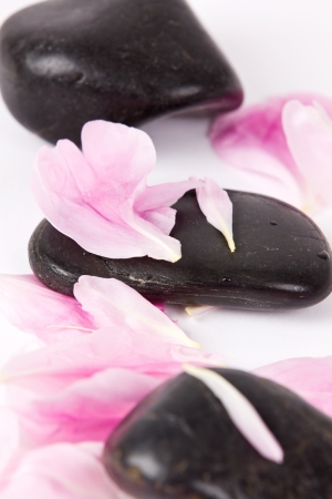 Spa stones with rose petals on white background. の写真素材