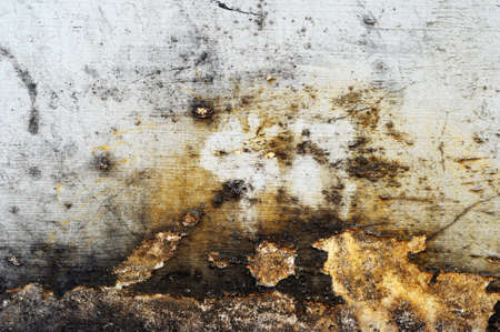 texture of wallの写真素材