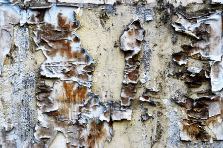 Texture of wallの写真素材