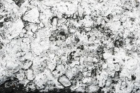 Grunge floorの写真素材