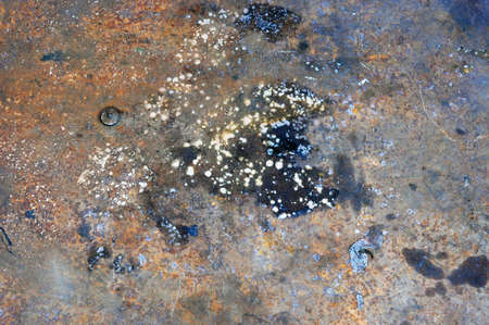 Grunge floorの写真素材