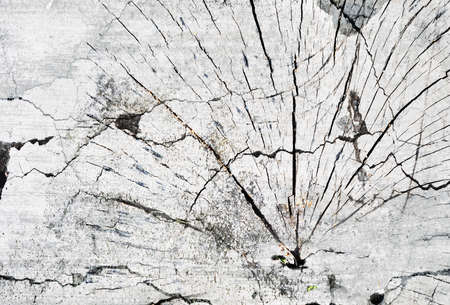 grunge wallの写真素材