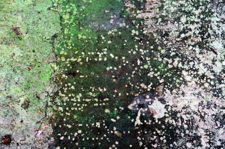grunge wall