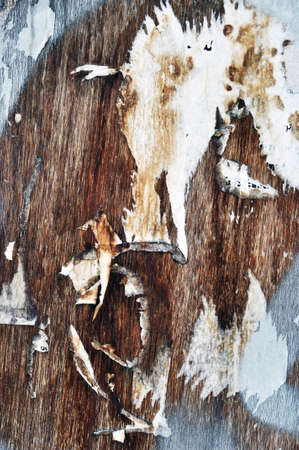 wood texture