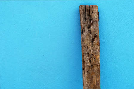 woodの写真素材