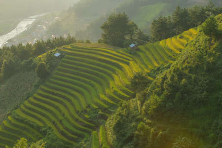 Green Rice fields on terraced in Mu cang chai, Vietnam Rice fieldの写真素材