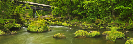 A covered wooden bridge over a river in lush forest near Irrel, Germanyの写真素材