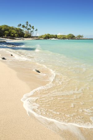 Maiahula Beach on Big Island Hawaii, USA, a beautiful white sand beach with turquoise water and palm...