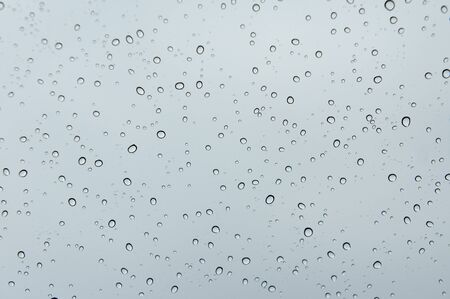 rain water drops.の写真素材