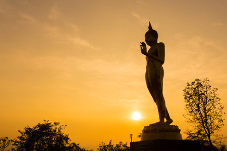golden standing buddha image statue at sunset, Thailandの写真素材