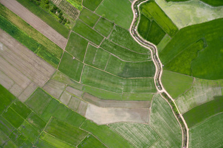 Top view of countryside and rice field in Thailand.の写真素材