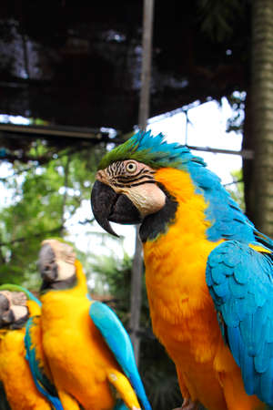 Birthの写真素材