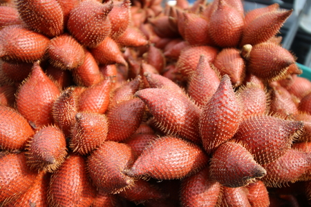 Thai salak sweet fruitの写真素材