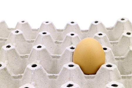 Egg on tray in store on white backgroundの写真素材