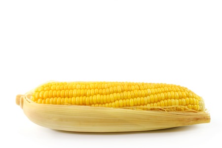 sweet corn fresh food and healthy isolated white background.の写真素材