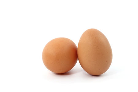 Egg fresh food and white backgroundの写真素材