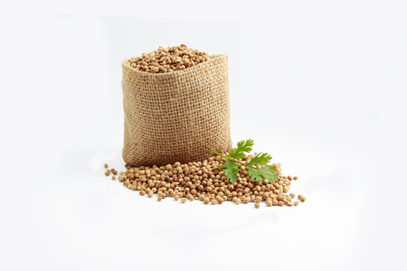 coriander seedsの写真素材