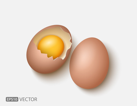 Broken eggのイラスト素材