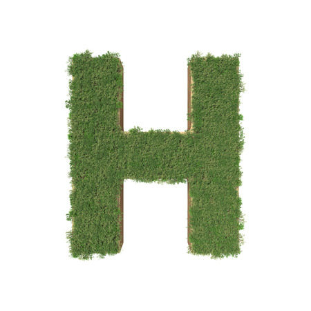 Alphabet H made of green tree on white background. 3D illustrationの写真素材
