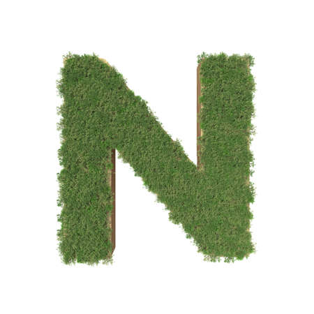 Alphabet N made of green tree on white background. 3D illustrationの写真素材