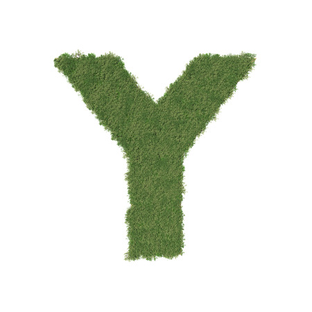 Alphabet Y made of green tree on white background. 3D illustrationの写真素材
