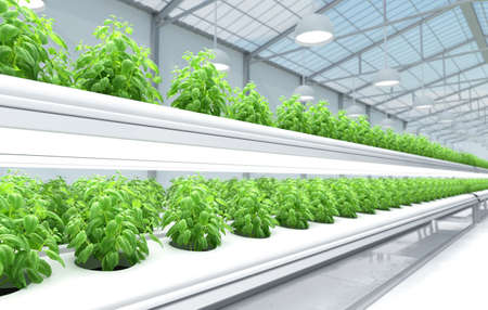 Organic Hydroponics Vegetable Farm. 3D illustrationの写真素材