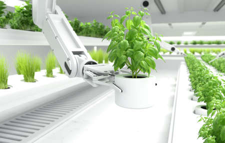 Smart robotic farmers concept, Robot arm picking up organic vegetables. 3D illustrationの写真素材
