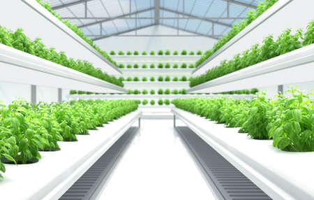 Organic Hydroponics Vegetable Farm. 3D illustrationの写真素材