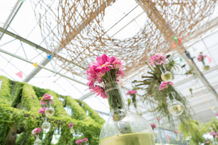 Pink gerbera daisy in a glass bottle hang on the airの写真素材