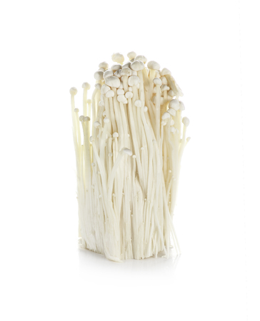 Enoki mushroom, Golden needle mushroom isolated in white background