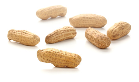 Dried Peanuts Isolated on a white background.