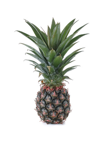 fresh Pineapple bulb isolated on white background.の写真素材