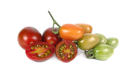 Chocolate Tomato or Brown color tomato on white background.の写真素材