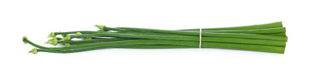 Garlic chives, Onion flower isolated on white background.の写真素材