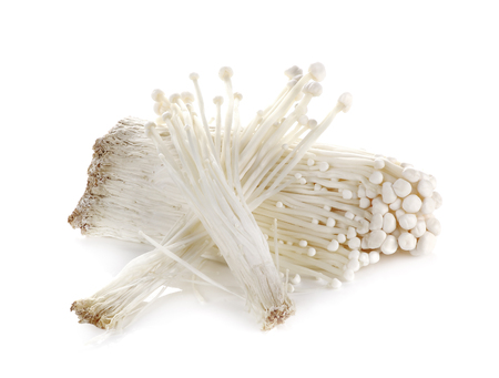 Enoki mushroom, Golden needle mushroom isolated on white background.の写真素材