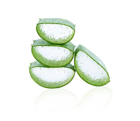Aloe vera fresh leaf isolated on white background.の写真素材