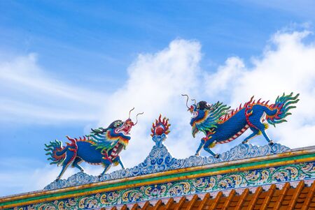 Double dragon on china temple, Beautiful dragon, Dragon on china, Dragonの写真素材