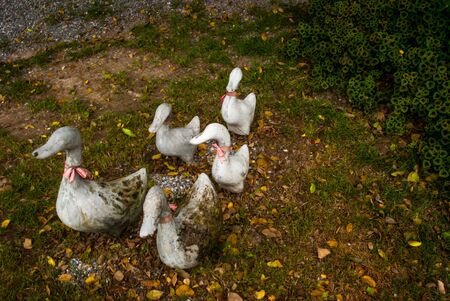 Molded statue duckの写真素材